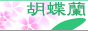 aikaengei.com