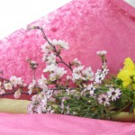 吉野桜とイエローサルタンの花束