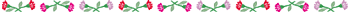 carnation.gif