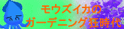 モウズイカさんのサイト