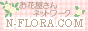 お花屋さんネットワークN_FLORA.COM