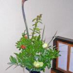 ザクロの花とストレリチア