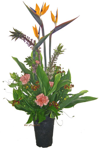 ストレリチアとパイナップルリリーのアレンジ 誕生花と花言葉のプレゼント
