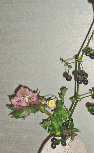 Xmasrose1 誕生花と花言葉のプレゼント