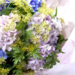 ウイキョウと紫陽花の花束